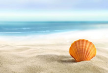 东道主选手持续领先，势头强劲