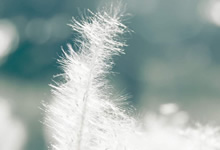 切尔西主帅遭遇下课传闻，球队未来堪忧