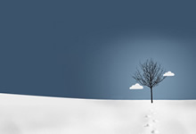 俄罗斯男篮拟重新加入欧洲杯联赛