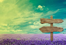 切尔西新援状态火热，球队信心爆棚望取胜